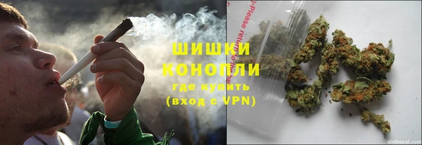 стаф Новодвинск