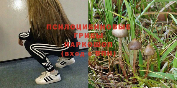 ECSTASY Абинск