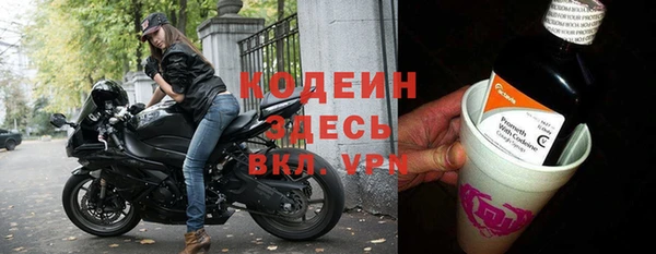 сатива Новозыбков